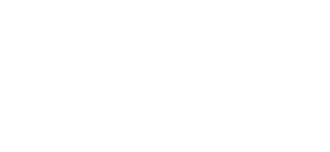 aleeza ben shalom logo marriage minded mentor logo
